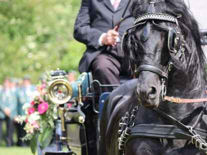 Die Sch&uuml;tzenbruderschaft Markhausen inthronisiert am Sonntag, 12. Juni 2022 ihr neues Kaiserpaar und die Kinderk&ouml;nige.