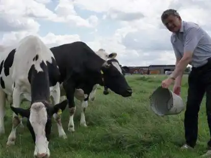Auf seinem Betrieb in Harbern II h&auml;lt er 400 Rinder: J&uuml;rgen Logemann