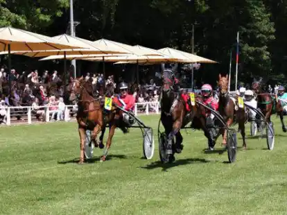 Endlich wieder Trabrennen in Rastede: Sportler wie Zuschauer freuten sich &uuml;ber den Neustart auf dem Rasteder Turnierplatz.