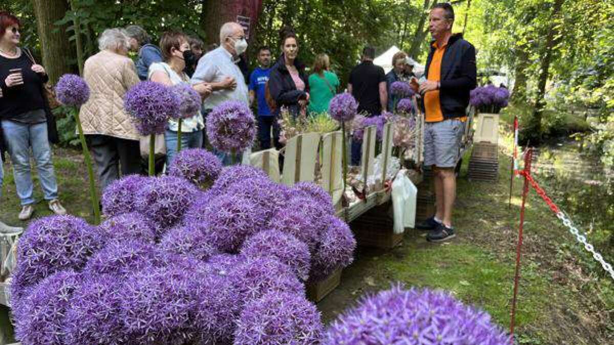 Blumenpracht und beste Sommerlaune bei Garten & Ambiente in Nordenham
