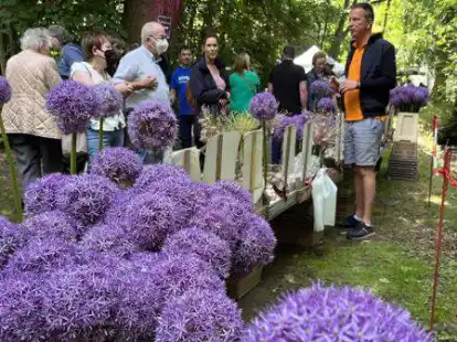 &bdquo;Super zufrieden&ldquo;: Ramon Stins aus den Niederlanden war wieder mit Blumenzwiebel und Stauden dabei.