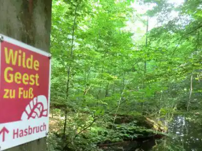 Der Hasbruch ist ein bedeutender Waldlebensraum inmitten der Gemeinden Ganderkesee und Hude.
