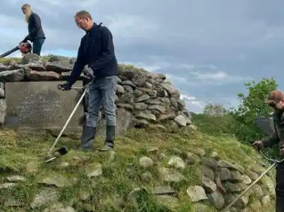 Anpacken f&uuml;rs Fest: Mitglieder des Vorstands und Beirats des Heimatvereins Conneforde richten den zugewachsenen &bdquo;Heinenbarg&ldquo; f&uuml;r die kommende Sonnenwendfeier wieder her.