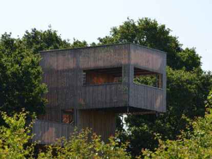 Vom Baumkronenturm hat man einen guten &Uuml;berblick &uuml;ber den Bollenhagenwald.