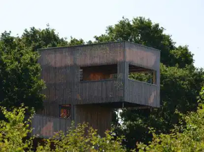 Vom Baumkronenturm hat man einen guten &Uuml;berblick &uuml;ber den Bollenhagenwald.