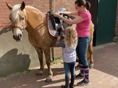 Der Schulbetrieb beim Reitklub Frei Tempo soll trotz der anderen gek&uuml;ndigten Boxen aufrecht erhalten werden: Reitlehrerin Stefanie Gr&uuml;ner, die Reitschulkinder und Haflinger-Dame Juna hoffen weiterhin auf eine g&uuml;tliche L&ouml;sung.