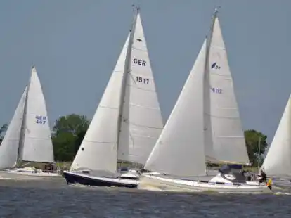 Bei idealen Wetterbedingungen fand auf der Weser die Nordenhamer Regatta statt.