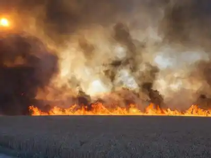 Gefahr auf der freien Fl&auml;che: Eine unbedacht weggeworfene Zigarette, ein Lagerfeuer in der freien Natur k&ouml;nnen Br&auml;nde entfachen, die im schlimmsten Fall nur noch schwer unter Kontrolle zu bringen sind.