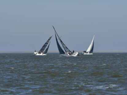 53. Horum-Regatta:  Mittlerweile entscheiden sich auch viele ambitionierte Amateure f&uuml;r die schwarzen Foliensegel mit Kohlefaserverst&auml;rkung.