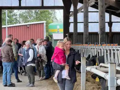 &bdquo;Guck mal, das ist eine Kuh&ldquo;:  Der Tag des offenen Hofes lockte viele Familien an.