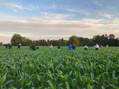 Rund um den Woldweg in Wehnen wurde am Dienstag bis in die Nacht nach Joe gesucht.