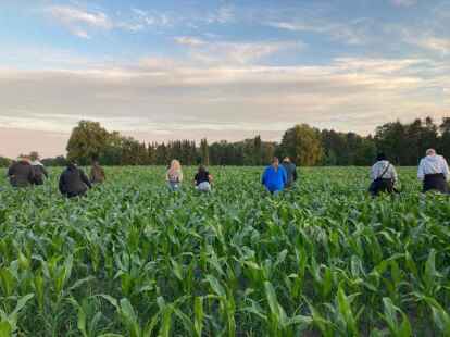 Rund um den Woldweg in Wehnen wurde am Dienstag bis in die Nacht nach Joe gesucht.