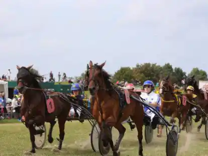Zuletzt im August 2019 liefen die Traber auf der Jaderennbahn Hooksiel.
