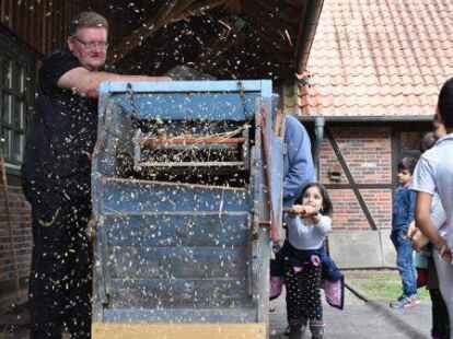Der Kurs &bdquo;Vom Korn zum Mehl&ldquo; der Vareler Windm&uuml;hle findet im Juli wieder statt.