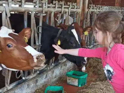 Die Sch&uuml;ler konnten die Tiere auf dem Bauernhof hautnah erleben.