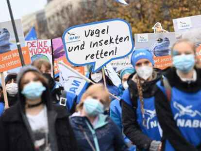 Immer wieder werden Nabu-Ortsgruppen von rechtem Gedankengut unterwandert. Dagegen will die Umweltorganisation vorgehen und sensibilisieren.