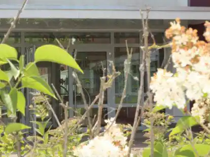 Ob die Zukunft der Grundschule in Jennelt so bl&uuml;hend ist, darf inzwischen angezweifelt werden.