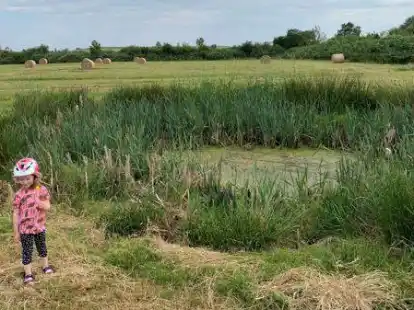 Das Bombenloch &ndash; 77 Jahre nach Kriegsende.