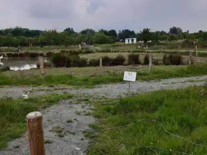 Hier war Anfang Juni noch einiges h&uuml;bsch zu machen: Wie der &bdquo;Pfad der Artenvielfalt&ldquo; geworden ist, k&ouml;nnen Besucher des &Ouml;kowerks am Sonntag, 10. Juli, selbst erkunden.