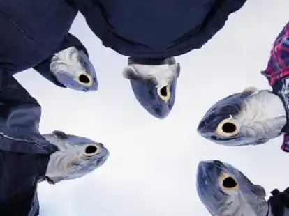 Fischkopp-Punk made in Emden: &bdquo;Sascha und die Heringe&ldquo; sind schon am fr&uuml;hen Freitagabend auf der Deichbrecher-Stage im Einsatz.