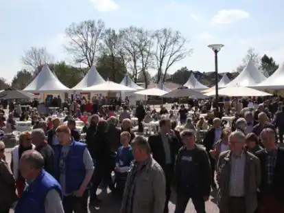 Edewechter Marktpartie auf dem Marktplatz: Ein multifunktionaler Pavillon soll die M&ouml;glichkeiten f&uuml;r Veranstaltungen in Edewecht erweitern.