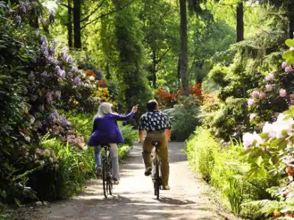 Auch damit punktet der Tourismus im Ammerland: Radtouren und die Rhododendron-Bl&uuml;te geh&ouml;ren zu den Besuchermagneten im Landkreis. Die Branche steht aber vor gro&szlig;en Herausforderungen.