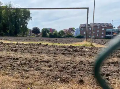 Der Rasen auf dem Kickers-Platz in Leer soll erneuert werden. Es gibt den Vorwurf, dass dort zuvor eine Chemie-Keule zum Einsatz gekommen sein k&ouml;nnte.