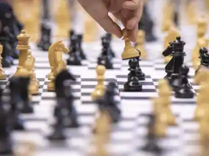 Junge Denksportler sind eingeladen: Der Schwarze Springer richtet am 15. Juli ein Schachturnier aus.