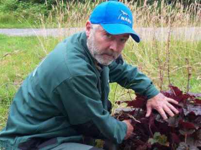 Kersten Ebel entdeckt sofort, dass es Ableger der Staude gibt.