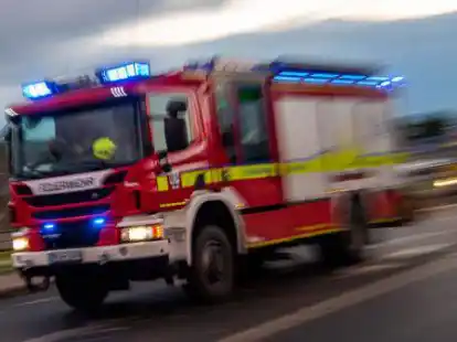 Feuerwehrtechnische Zentrale, Veterin&auml;ramt und weitere Beh&ouml;rden soll k&uuml;nftig in Brinkum angesiedelt sein.