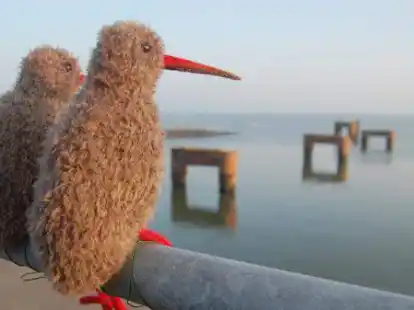 Bei der Auftaktveranstaltung der 37. &bdquo;Gezeiten&ldquo;-Wochen gibt es unter anderem Strickv&ouml;gel von Theda Garnholz zu erwerben.
