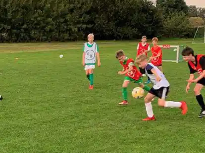 In Aktion: Die D-Jugend des VfL Wittekind Wildeshausen testet das neue Spielsystem.