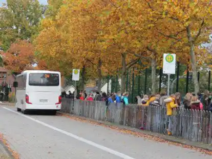 Die Schulbushaltestelle am Gymnasium Wildeshausen. Hier k&ouml;nnen k&uuml;nftig auch Oberstufensch&uuml;ler kostenfrei mitfahren.