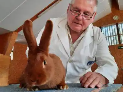 Richter Wolfgang Gebauer aus Delmenhorst begutachtet einen Roten Neuseel&auml;nder.