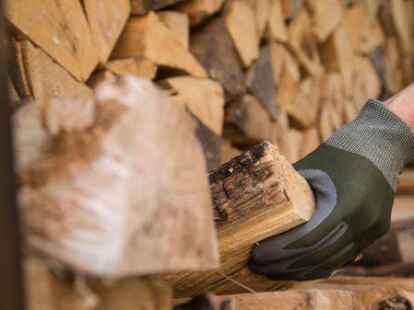 Inzwischen Mangelware im Nordwesten: Laubbaumbrennholz.