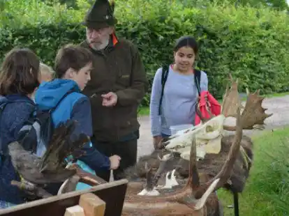 Eine Station bei den Waldspielen des Hegerings Rastede Nord: Die Kinder erfuhren mehr &uuml;ber Pr&auml;parate und Felle.