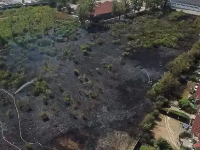 Eine eineinhalb bis zwei Hektar gro&szlig;e Fl&auml;che ist in Wardenburg abgebrannt.
