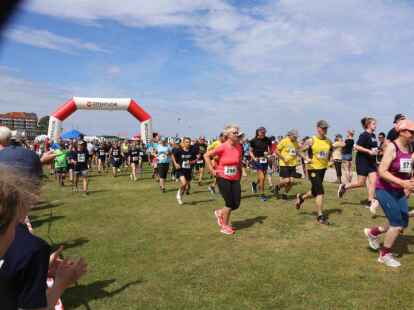 Friesencross Schillig 2022