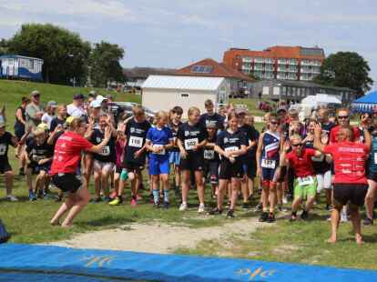 Friesencross Schillig 2022
