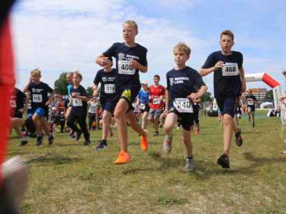 Friesencross Schillig 2022