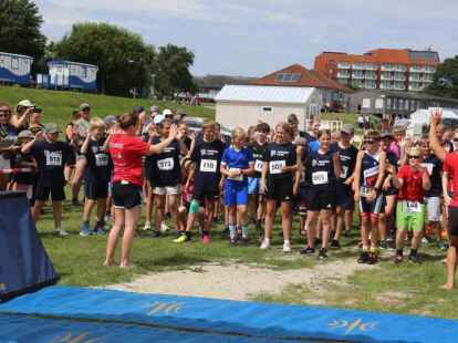 Friesencross Schillig 2022