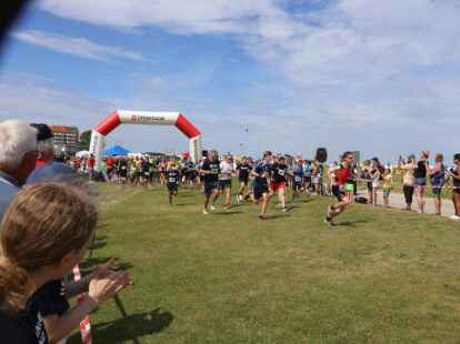 Friesencross Schillig 2022