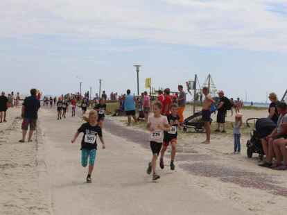 Friesencross Schillig 2022