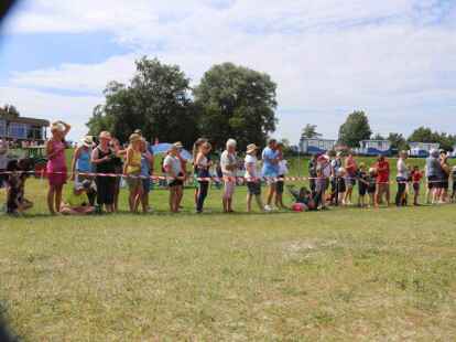 Friesencross Schillig 2022