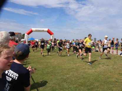 Friesencross Schillig 2022