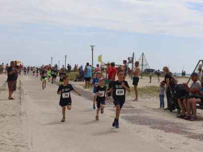 Friesencross Schillig 2022