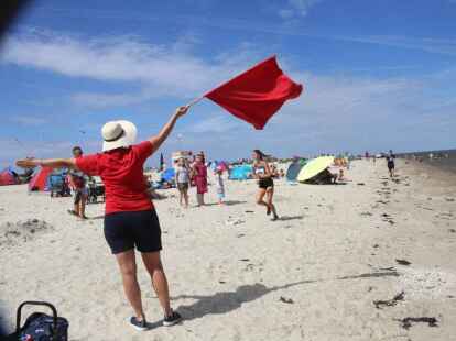 Friesencross Schillig 2022