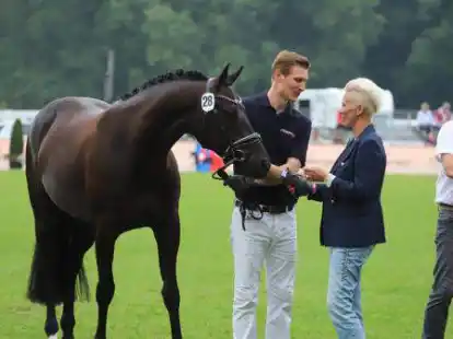 Die zweitsch&ouml;nste Dame im Oldenburger Land ist bei den dressurbetonten Stuten die von Otto Langemeyer aus Visbek gezogenen Stute &bdquo;Sarina&ldquo;. Dazu gratulierte die CDU-Bundestagsabgeordnete Silvia Breher (Lindern).