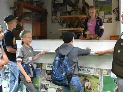 Mehr erfahren &uuml;ber Natur und Tiere: Das Infomobil des Hegerings Hude war f&uuml;r die Teilnehmer und Teilnehmerinnen der Ferienpassaktion spannend.