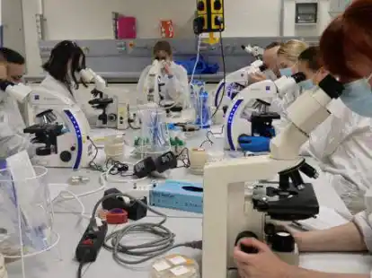 Studenten der Medizin beim Mikrobiologisches Praktikum.